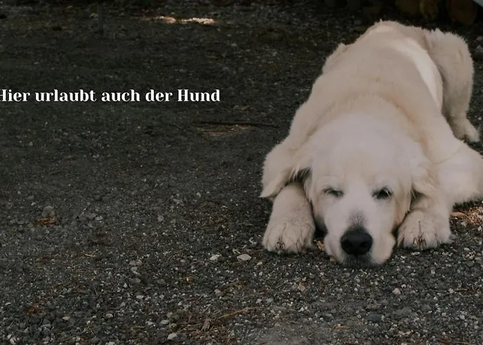 Daire Waldresidenz Deluxe